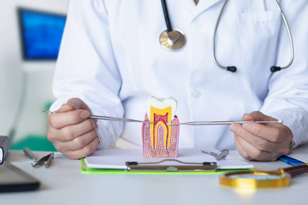Best Knocked-Out Tooth Emergency  in Meridian, PA